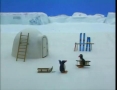 Kids Cartoon - PINGU - Pingus Tobogganing - All Languages Other