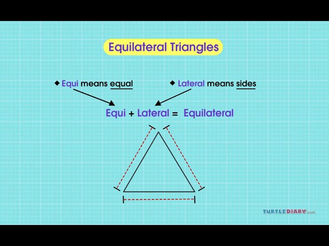 [Video] Types of Triangles - English