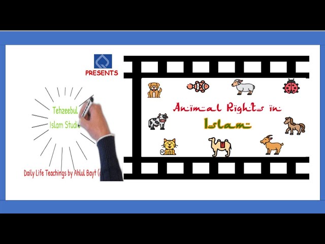 Animal rights in Islam | Islam & Animal Welfare | Whiteboard Animation | Must Watch | English