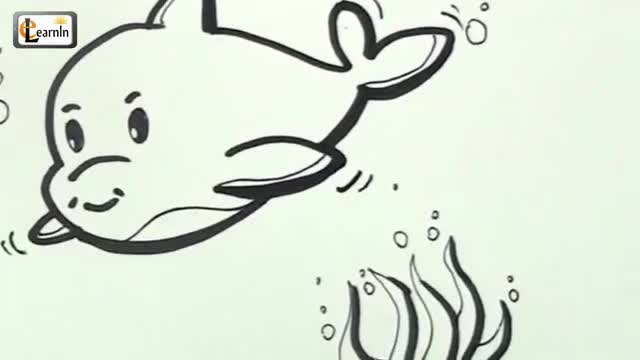 How to draw a dolphin - cartoon | Drawing for children | Easy Step by Step drawing tutorials English