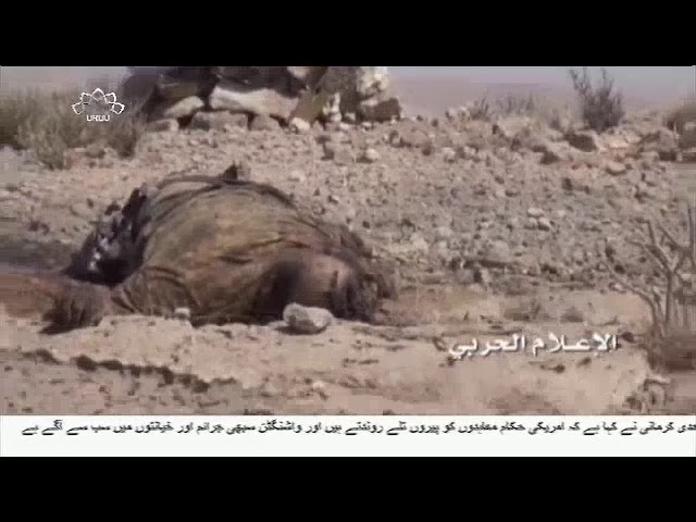 [03Nov2017] یمن میں سعودی اتحادیوں کے دسیوں فوجیوں کی ہلاکت  - Urdu