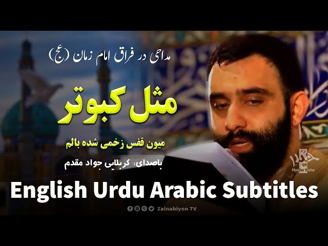 مثل کبوتر میون قفس (مداحی امام زمان) جواد مقدم  | Farsi sub English Urdu Ara