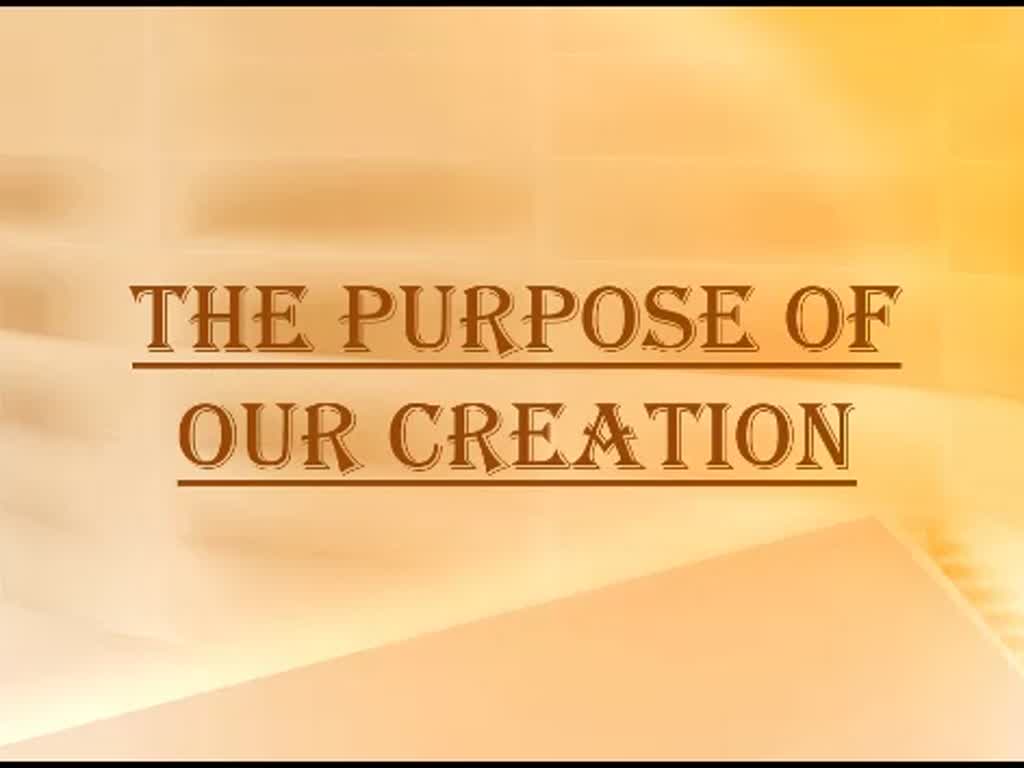 The Purpose of our creation - English