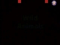 Animals - Wild Animals - Kids Animation Learn Series - English