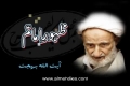 Ayatullah Behjat (r.a.) about Imam Mahdi (ajtf) - Urdu