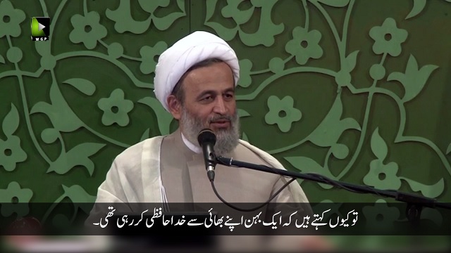 حضرت زینبؑ کا اپنے وقت کے امام ؑ سے وداع | Farsi sub Urdu