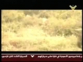 Hizballah Clips - هم حمقى - Arabic