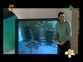 Mothers Day Surprise for a Child in Live Program May 2011- Farsi