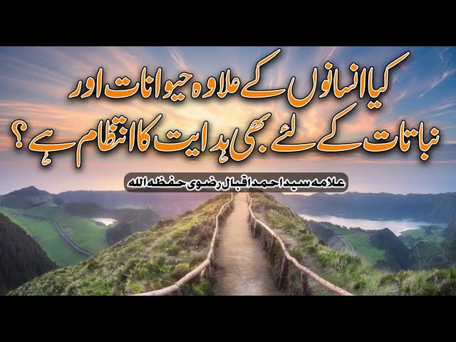 Hidayat Ka intezam Hiwanat or Nabatat k liye? | Allama Syed Ahmed Iqbal Rizvi | Urdu