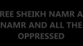 FREE FREE Sheikh Namr Al-Namr - Protest in Houston, TX - 12 April 2013 - All Languages