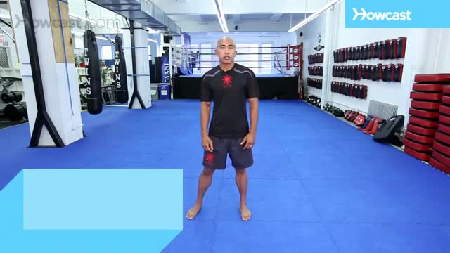 MMA Fighting Technique - 5 Stance Basics - English