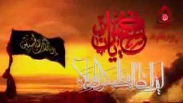 10th Muharram ul Haram 1432H , 2011 Live Azadari In Karbala On ( Hadi TV ) - URDU