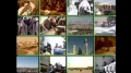 [01] Documentary - History of Quds - بیت المقدس کی تاریخ - Oct. 08. 2012 - Urdu