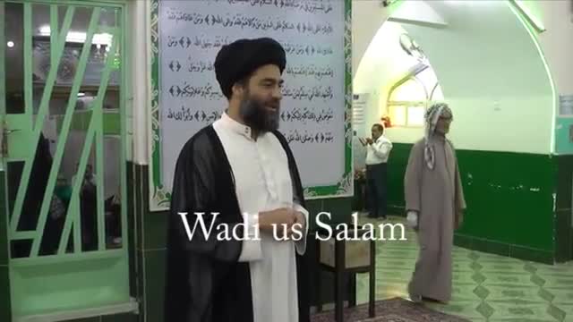 [Spiritual Journey to Iraq] Wadi us Salam (Part 02) - H.I Ali Raza Rizvi - June 2014 - Urdu & English