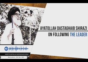 One Leader OR Multiple Leaders? | Martyr Ayatollah Dastaghaib Shirazi | Farsi sub English