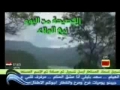 Ali Ali Ali Ali Ya Ali - علي علي - الرادود الميرزا مظاهر الشناف - Arabic