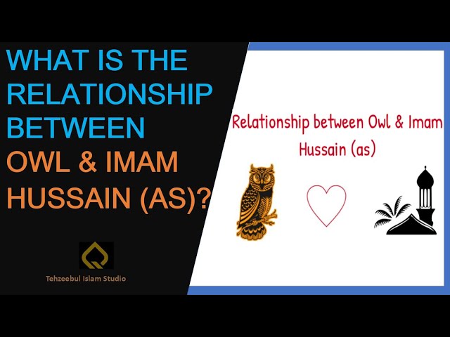 What is the relationship between owl & Imam Hussain (as) |Lamentation of the owl on Imam Hussain (as)
