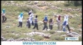 [16 June 13] Palestinian attacked by israeli settlers, soldiers - English