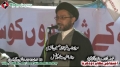[14 Jan 2013] Karachi Dharna - Speech H.I. Shahenshah Naqvi - Urdu