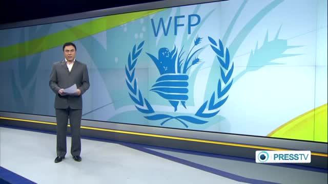 [02 Sep 2014] WFP: UN provided food aid for 4.1mn Syrians in August - English