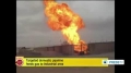 [31 Dec 2013] Targeted domestic pipeline feeds gas to industrial area - English