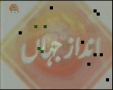 [05 Aug 2012] نہج البلاغہ - Peak of Eloquence - Urdu