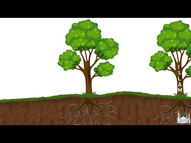 Tawhid Lesson 2 - The Roots of Religion