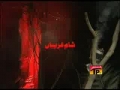[02] Muharram 1430 - (Shame Gharebaan) Bibiyaan Reh Gai - Nadeem Sarwar Noha 2009 - Urdu