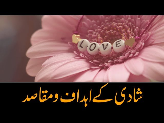 شادی کے اہداف و مقاصد | Maulana Ali Hussnain - Urdu