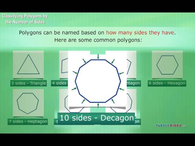 Types of Polygons & The Number of Sides | Math for Kids | English