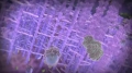 ATP Synthase- New Video Shows Intelligent Design of Molecular Machines in the Cell - English