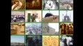 [21] Documentary - History of Quds - بیت المقدس کی تاریخ - Nov.03. 2012 - Urdu