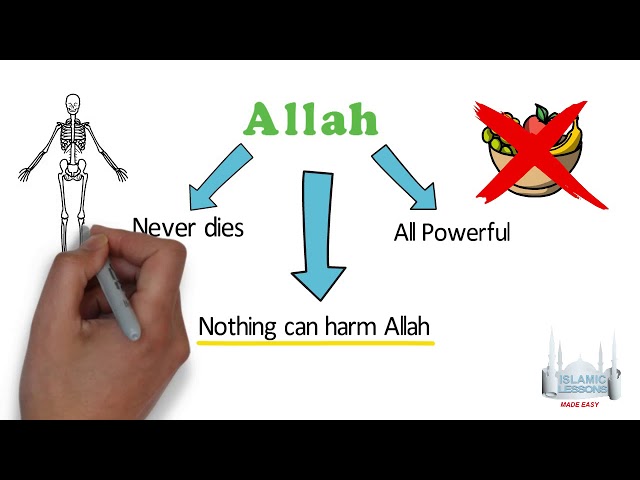 MADRASA -  Allah is always Alive - B11 | English