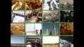 [08] Documentary - History of Quds - بیت المقدس کی تاریخ - Oct.19. 2012 - Urdu