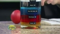 [Science Experiment] Seven Layer Density - English