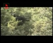 Hezbollah Songs - Arabic sub Farsi