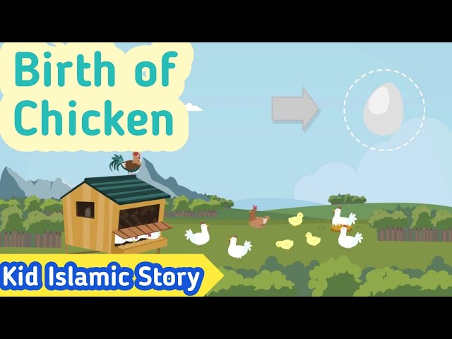 Kids Islamic Stories | Birth of Chicken | Muslim | Kaz School | English