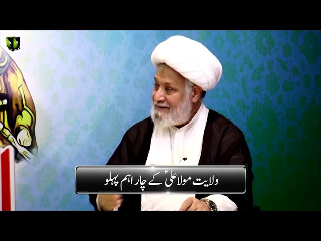 [Short Clip] ولایت مولاعلیؑ کے 4 اہم پہلو | Wilayat Mola Ali (a) Kay 4 Pehlu | Ayatullah Ghulam Abbas Raesi | Urdu