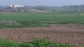 [11 Feb 2013] israel destruye superficies de naranjos y cítricos en Gaza  - Spanish