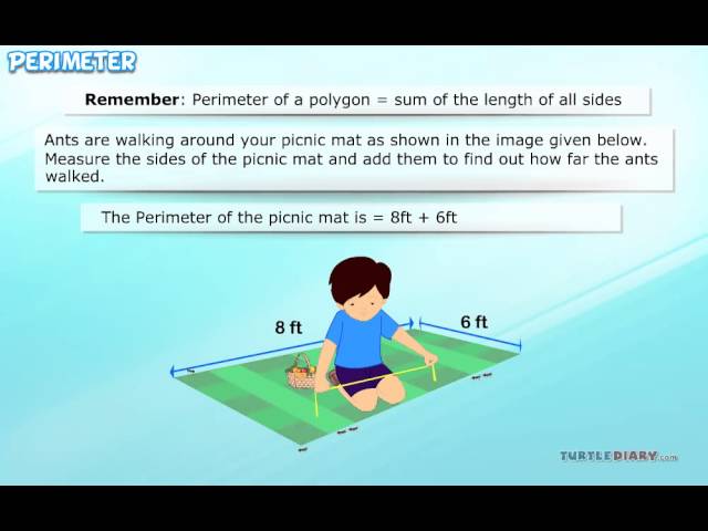 Perimeter of a Shape | What it is & How to Find It | Math for Kids | English