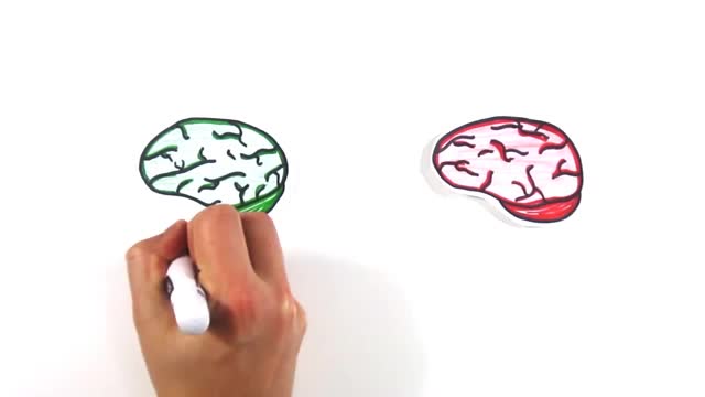 Brain Tricks - This Is How Your Brain Works English