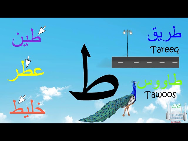 Arabic Alphabet Series - The Letter Toh - Lesson 16