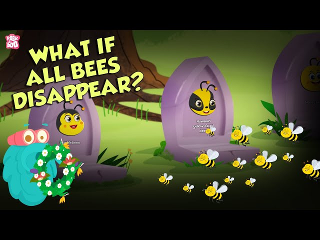 What If All BEES Disappear? | World Without BEES | The Dr Binocs Show | English
