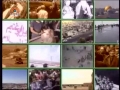[04] History of Al-Quds - Attempts to dominate Al-Buraq wall - English