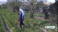 [23 Feb 2014] Another Palestinian farmer attacked by Israeli settlers - English