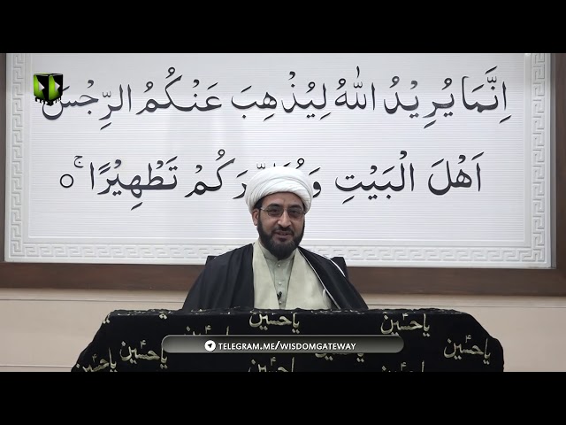 Sayyida(s.a) ki Shakhsiyat Quran,Farameen Masoomeen(a.s) kay Tanazur main  | مولانا علی احم?