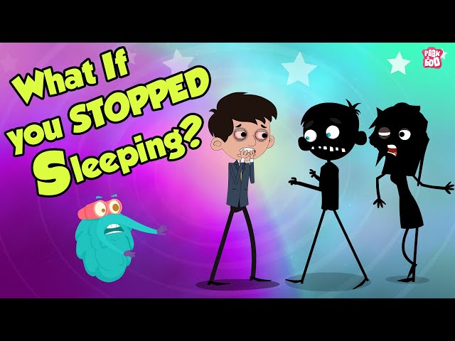 What If You Stopped SLEEPING? | Dr Binocs Show | English