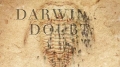 Darwin\'s Doubt by Stephen C. Meyer  - English