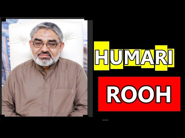 Rooh Kya Hai - Rooh ki Haqeeqat  || H.I Ali Murtaza Zaidi - Urdu