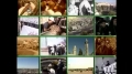 [24] Documentary - History of Quds - بیت المقدس کی تاریخ - Nov.06. 2012 - Urdu